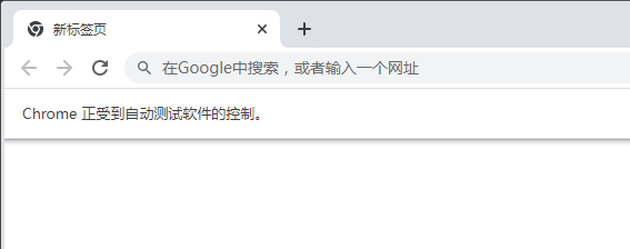 成功启动